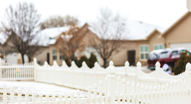 Snow Frosted Homes in Winter