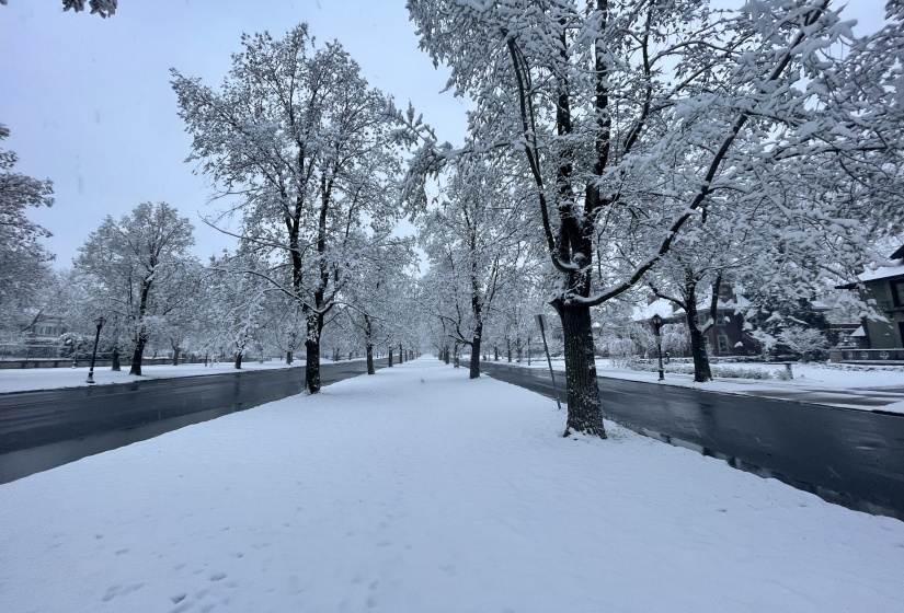 Lincoln Parkway in Winter