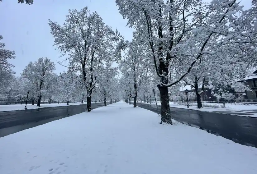 Lincoln Parkway in Winter